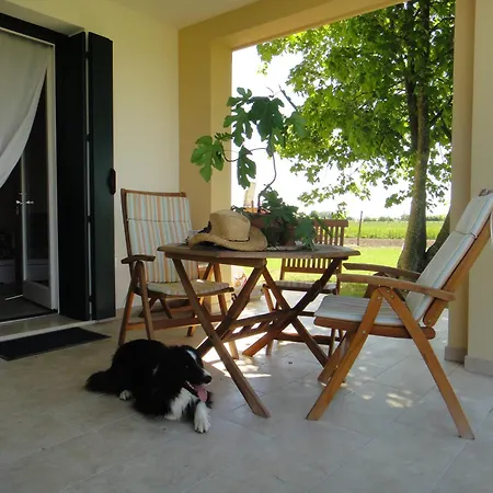 Holiday home Altrove San Michele al Tagliamento
